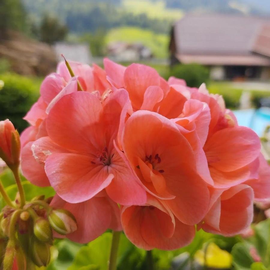 Haus Kremser Bad Kleinkirchheim Esterno foto
